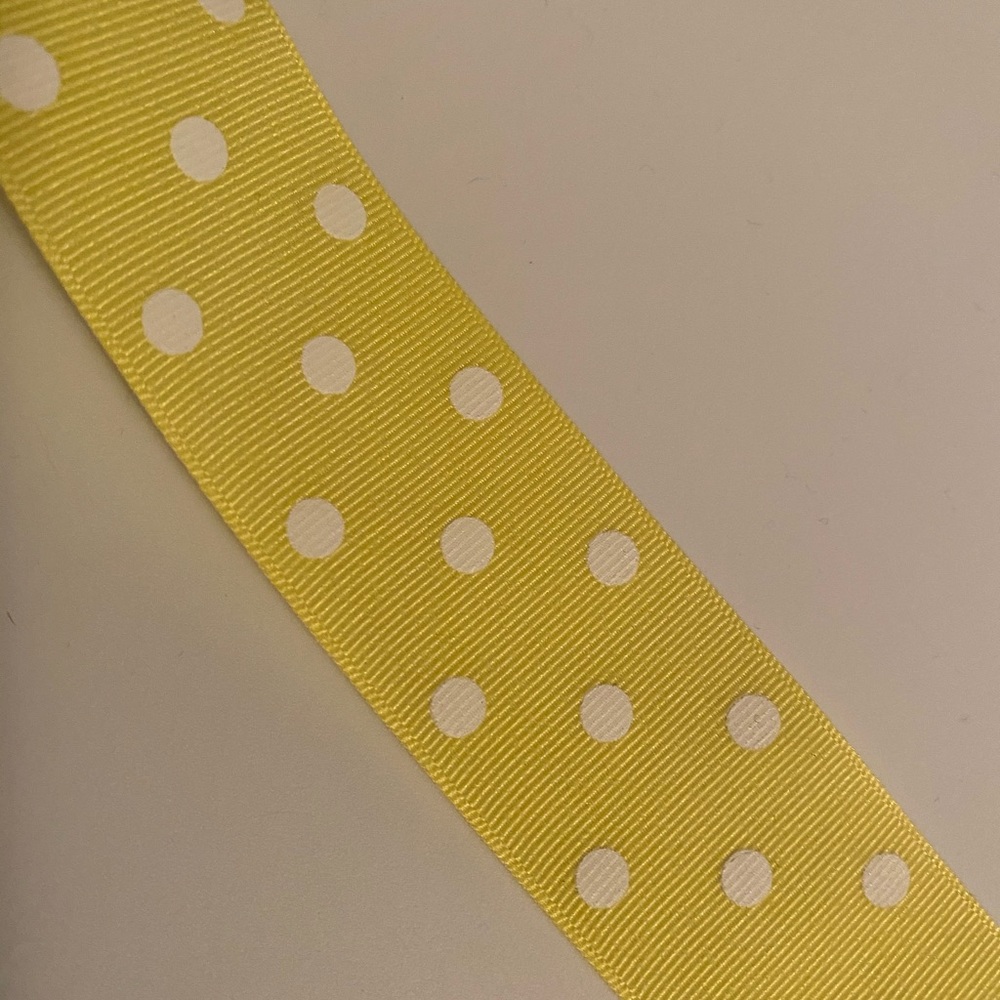 Yellow Headband Organizer